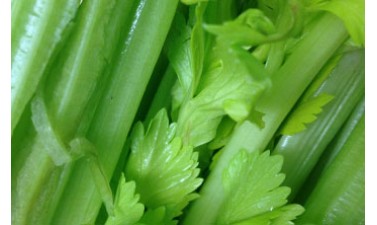 Celery: The Miracle Juice To Detox and Regenerate Your Body from the Inside Out 